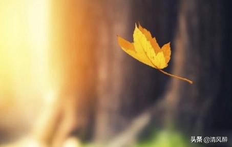 颓废心累的句子说说朋友圈,适合深夜发朋友圈的伤感说说