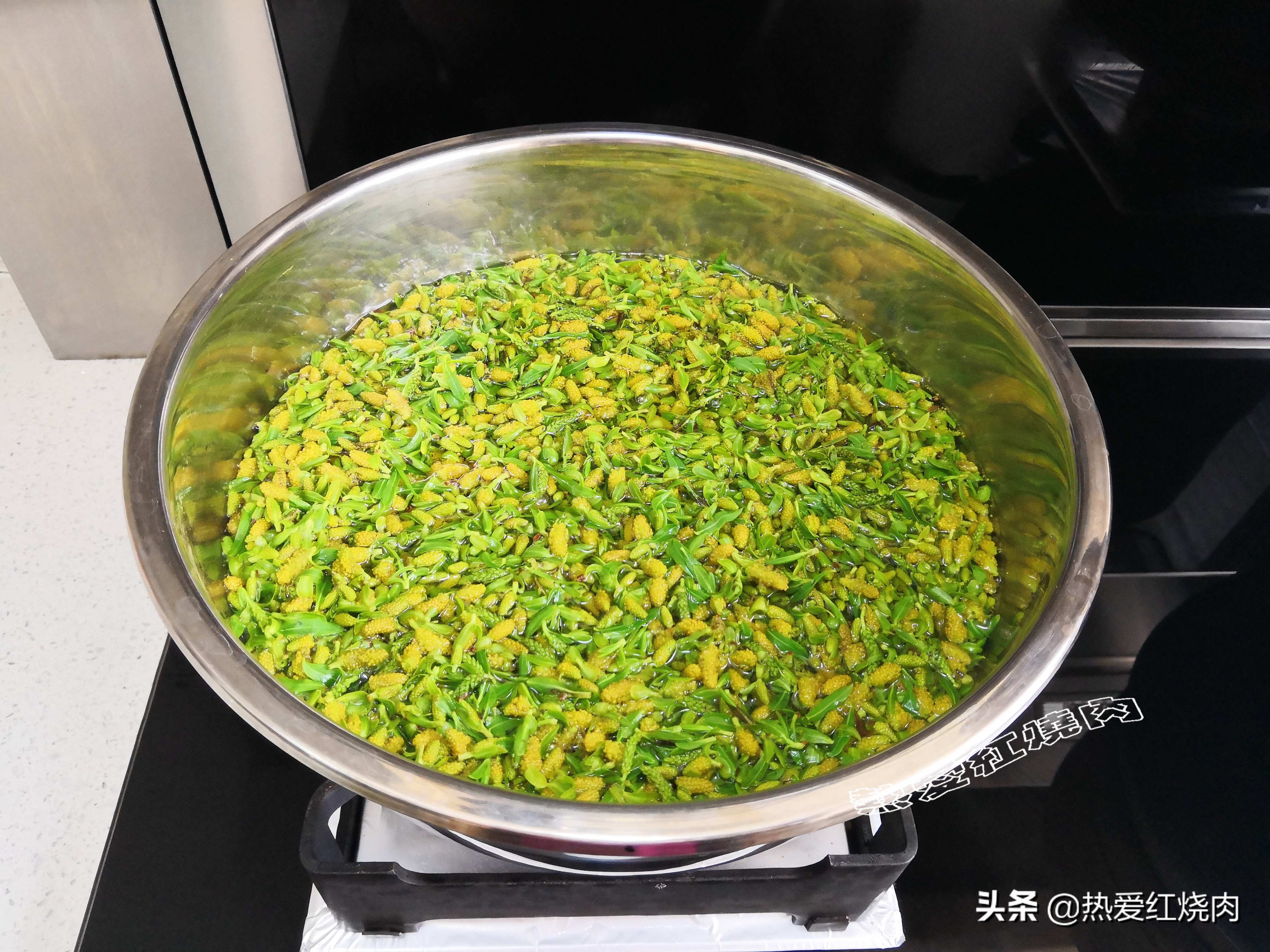 春天各种树芽的吃法,树芽的正确吃法