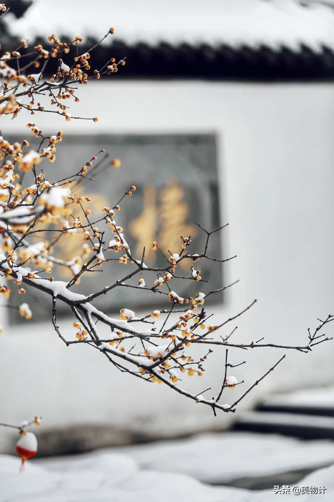 有冬要来有雪入怀泣不成声,有冬要来有雨入怀