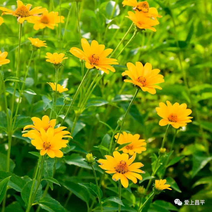 人间最美的旅游地,人间最美四月天去哪里玩