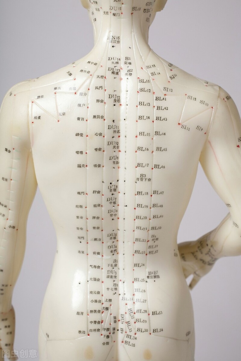 十二经络调理讲解视频,12经络养生讲解视频脾经