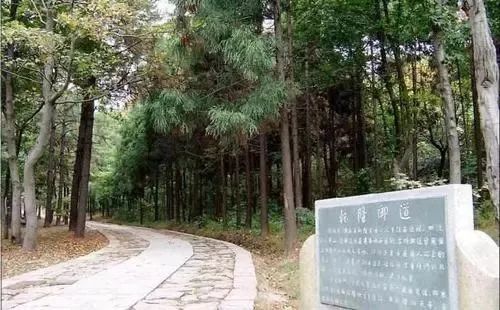 江干有条沾过“皇气”的道路！未来将打造杭州“隐形城市2.0”~