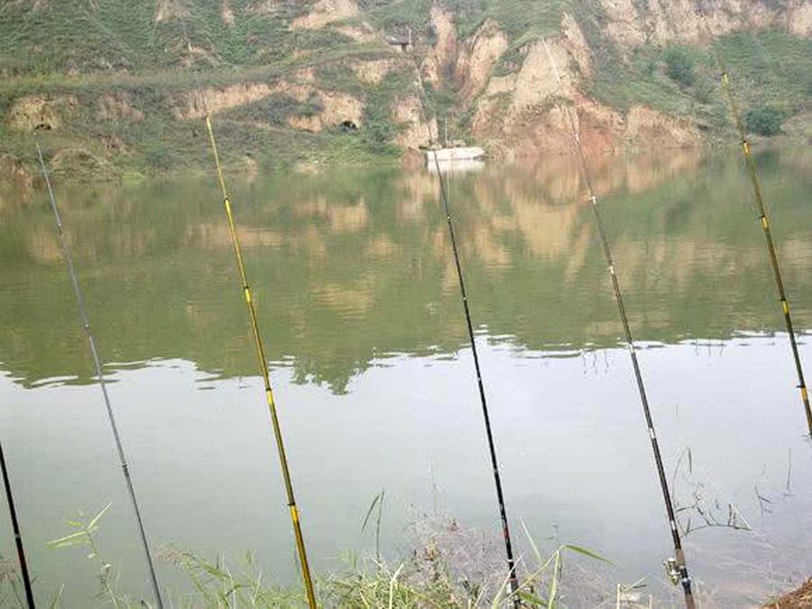 海竿钓不到鲤鱼怎么回事,海竿钓不到鲢鳙是什么原因