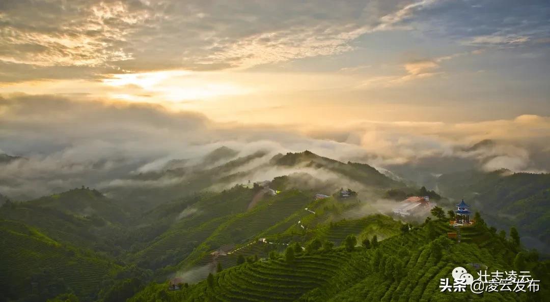 凌云未来发展潜力,凌云投资100亿