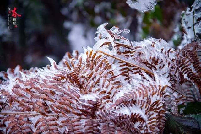 2019已过去迎接新的2020已到来,广西之旅2019