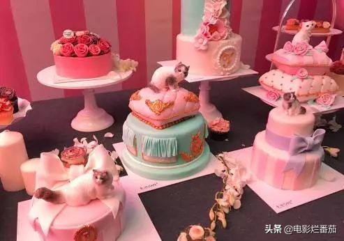 不要入戏太深小说,不要入戏太深的意思