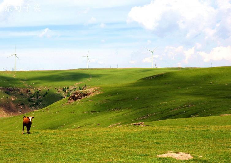 天津滨海新区亲子游玩好去处,天津五一亲子一日游