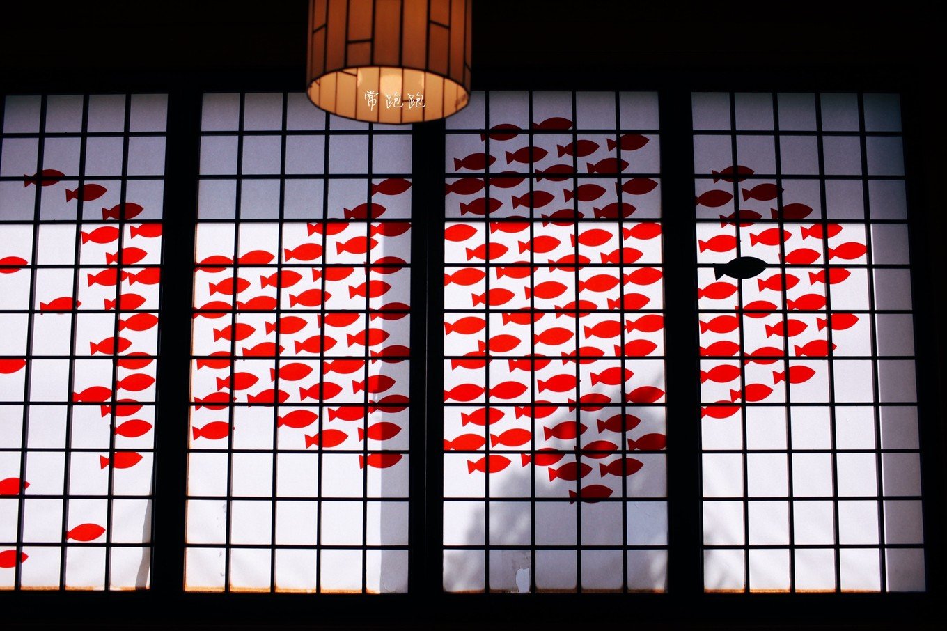 港口风情街美食,北海道美景旅游美食攻略