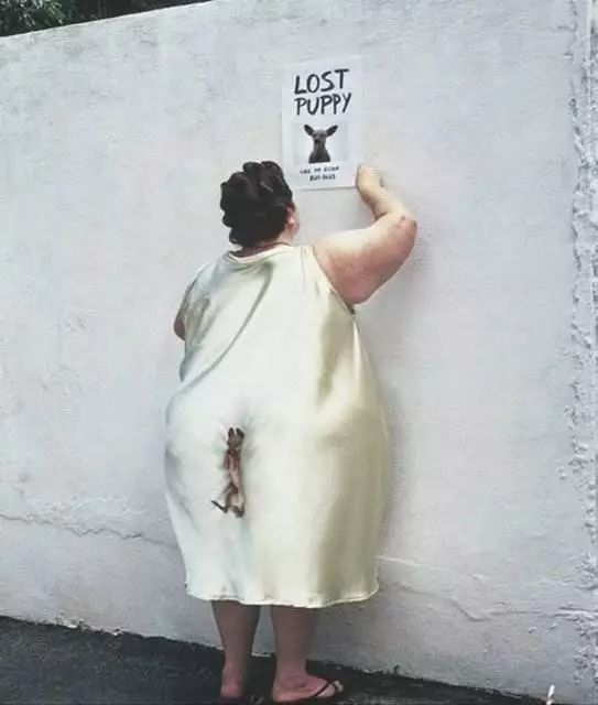 爱宠走失寻回,寻回丢失宠物的高效方法和技巧