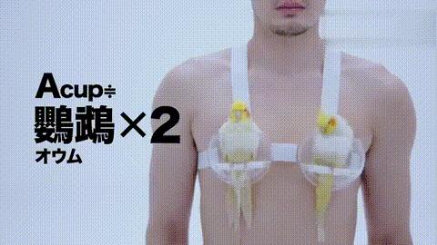 一个正经的问题应该怎么问,一般人一个乳房重量是多少