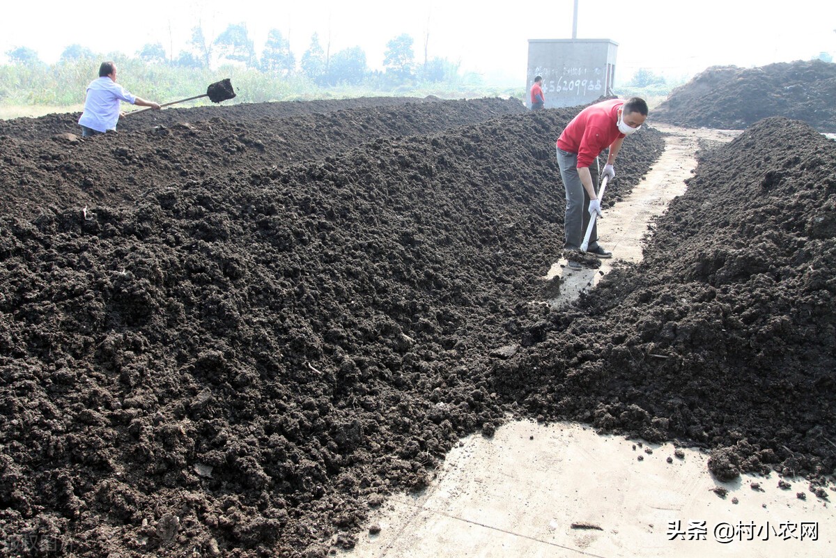农村创业项目快速赚钱,新农村创业适合做的几个生意项目