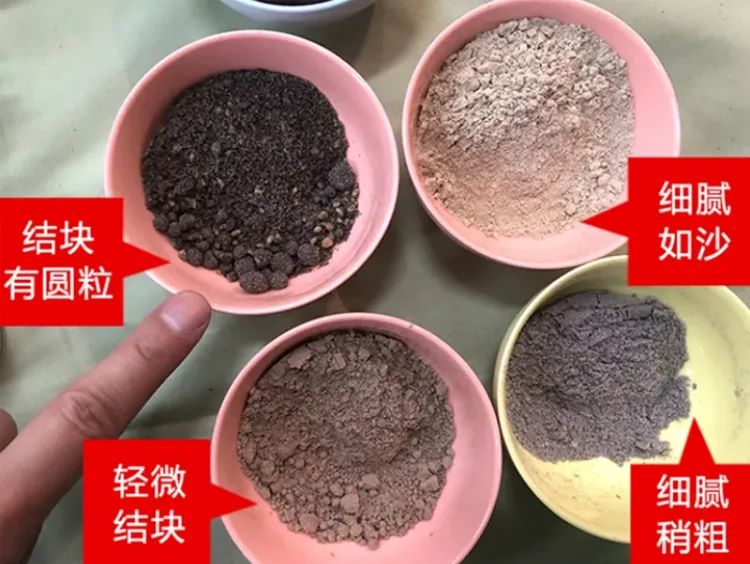 吃了20年的黑芝麻糊其实是大米糊？真营养的芝麻糊长啥样？