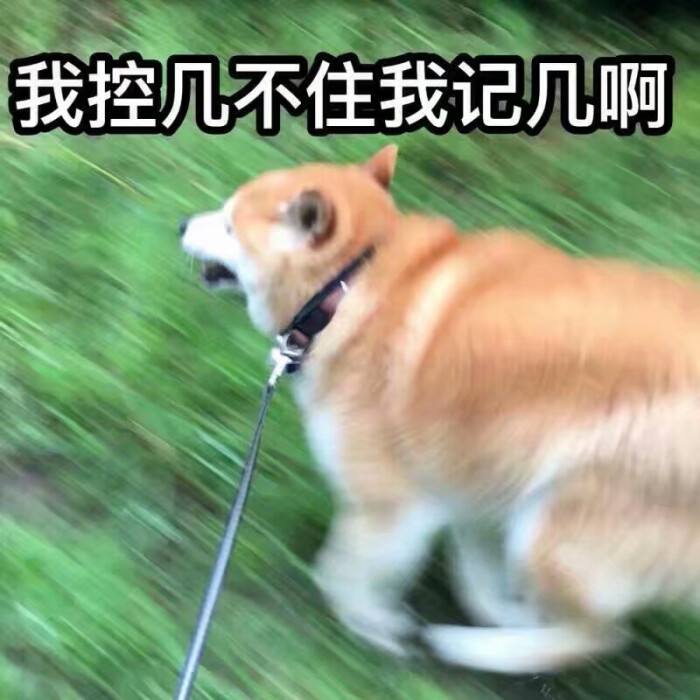 给狗狗做绝育的处方,狗狗绝育后性格