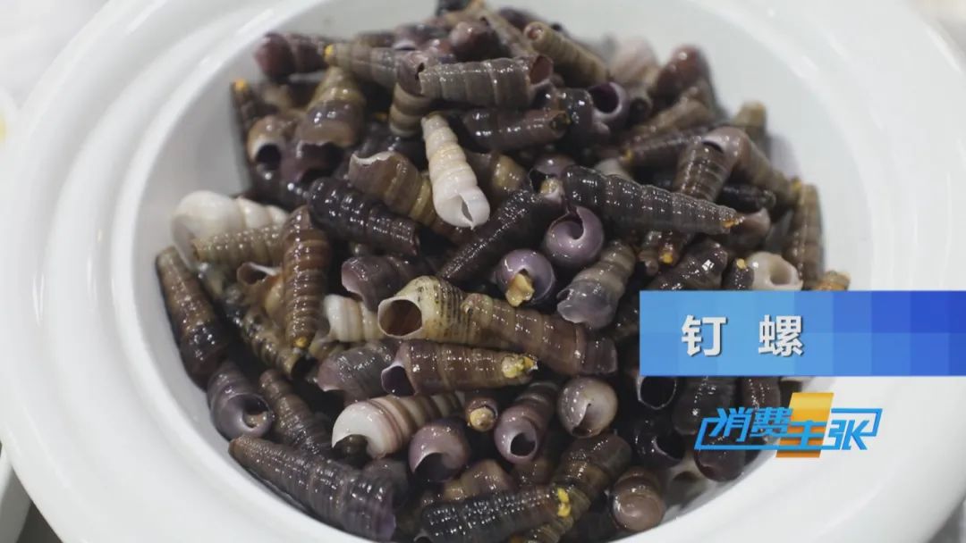 霞浦小众海鲜,霞浦吃海鲜地方推荐