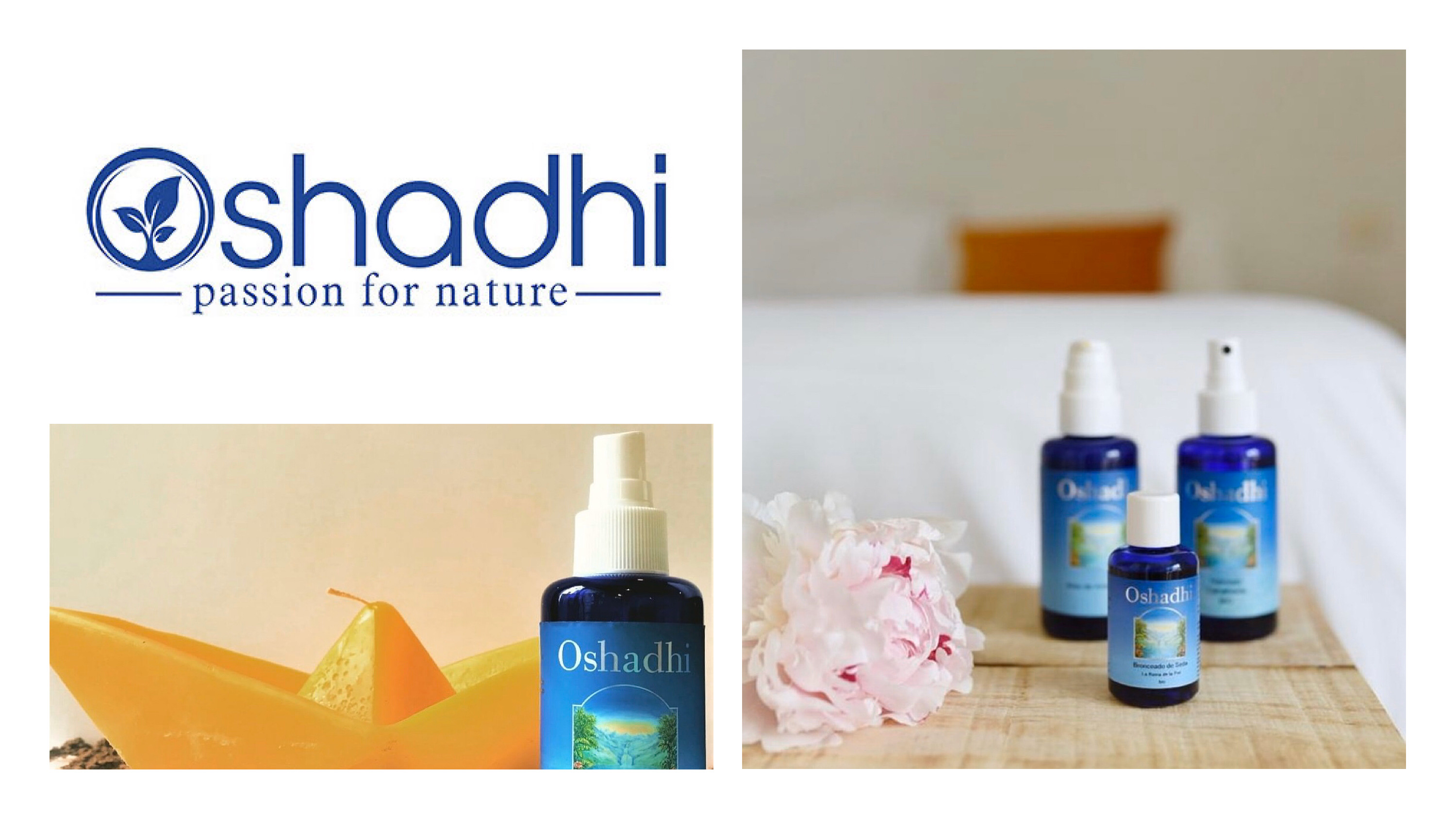 天猫美妆品店推荐哪个店铺,美妆良心店铺推荐