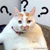 电脑卡点具体教程,一步搞定电脑卡