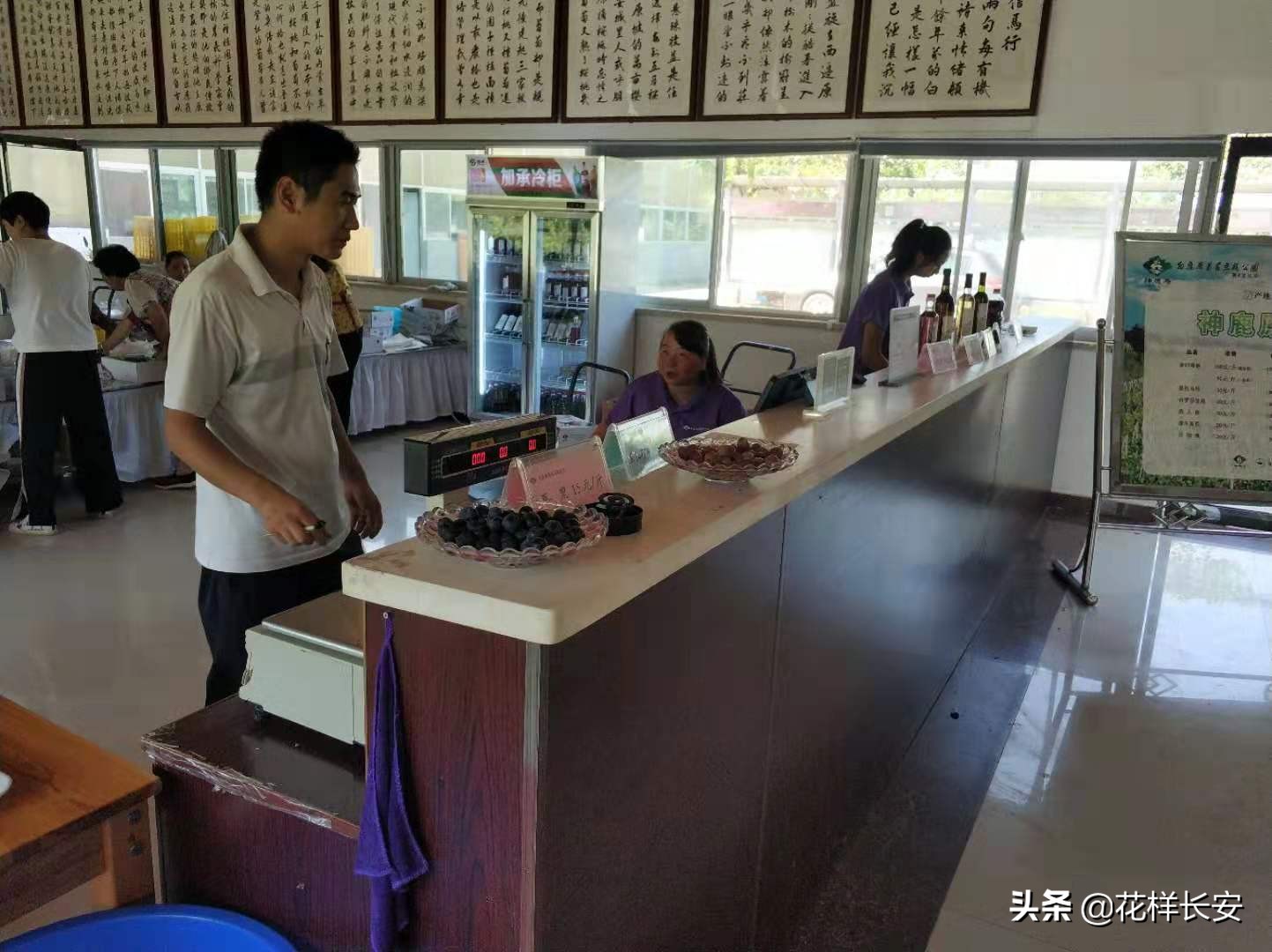 葡萄熟了玩耍视频,葡萄熟了采摘园