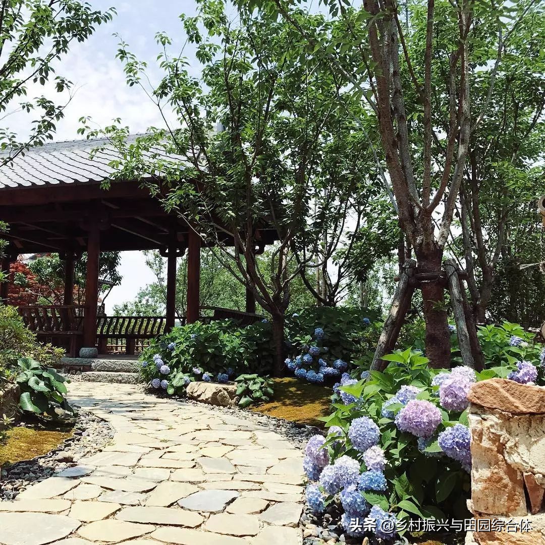 古朴悠然的禅意小镇,半农学院
