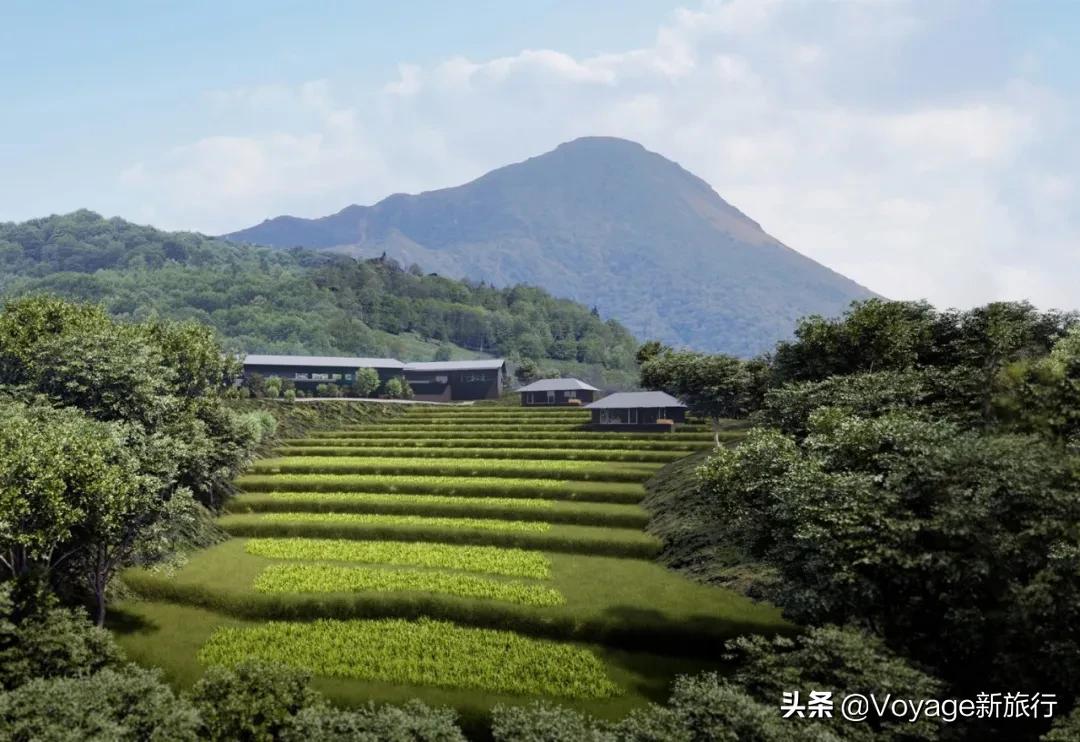 日本星野温泉酒店,日式旅馆星野度假村