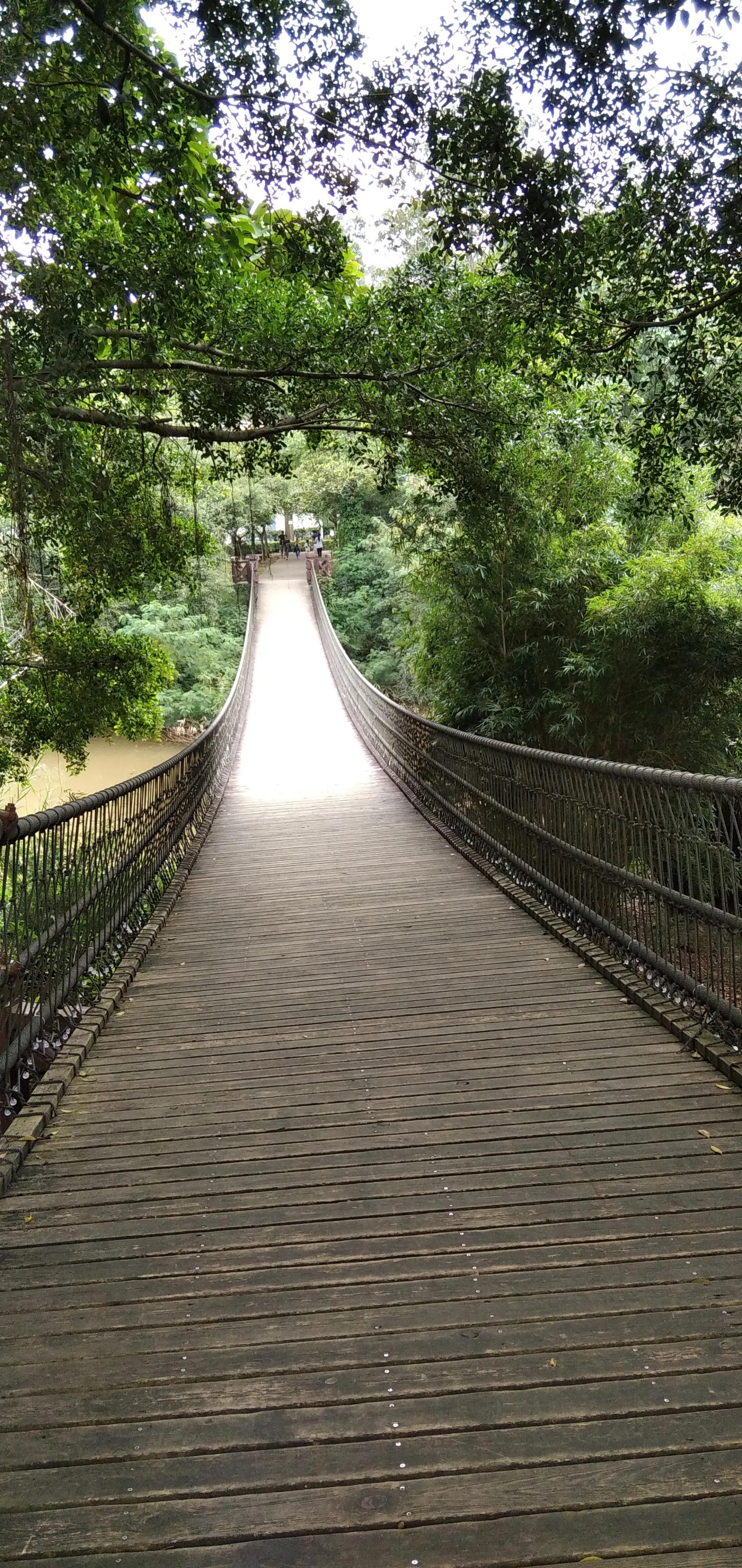 良凤江国家森林公园在哪里啊,良凤江国家森林公园