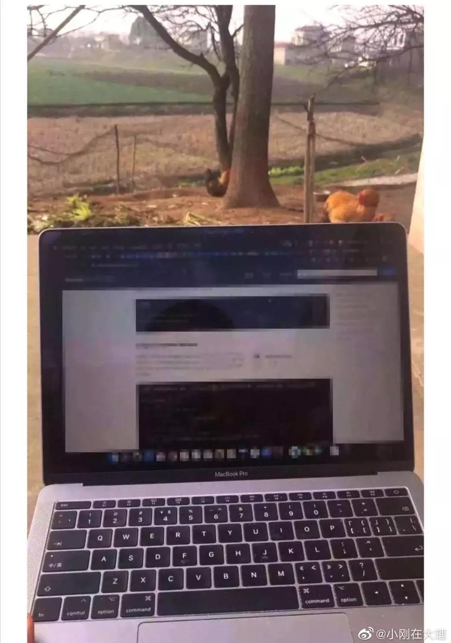 疫情期间做好3件事,疫情结束后想要去做的20件小事