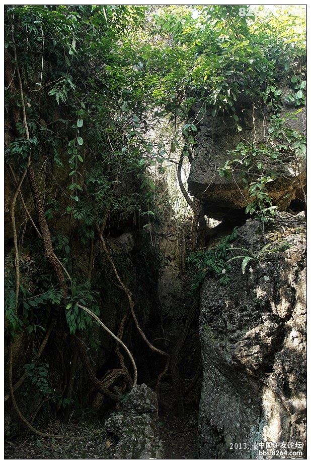 贵州黄果树天星桥游记,贵州黄果树天星桥景区