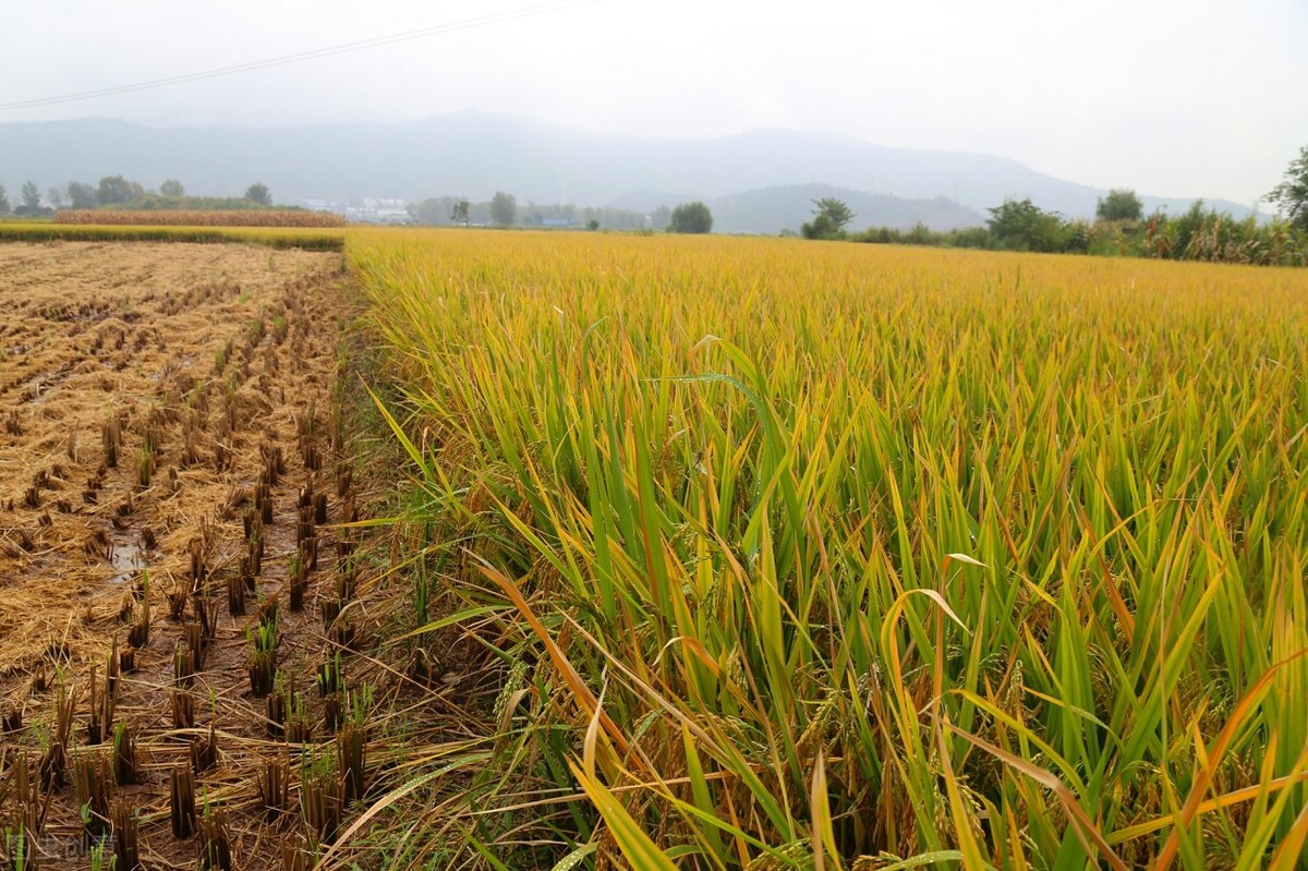 德州6个招引项目开工,德州101个重点项目开工