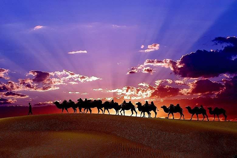 疆旅租车,疆途旅行租车