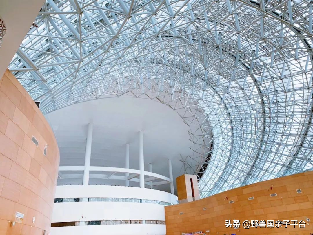 广州遛娃旅游推荐路线攻略,广州遛娃清单升级版