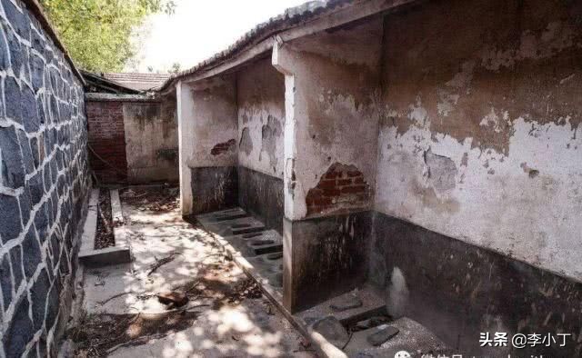 厕所——人类的文明史：日本旅行中印象最深刻的