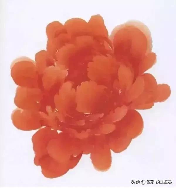 九种牡丹画法步骤,写意牡丹调色