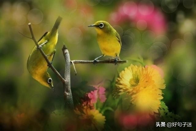 人生感悟英文短句子,句句入骨,看完你会明白很多!