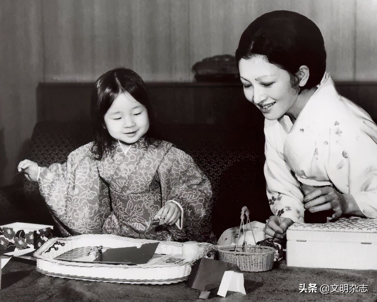 菊花王朝盛衰记,菊花王朝故事