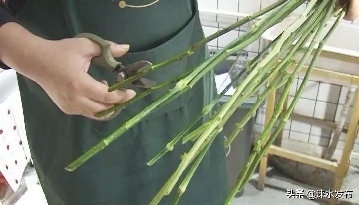 以花为媒，涞水的小哥哥拥有让女孩羡慕的别样人生！