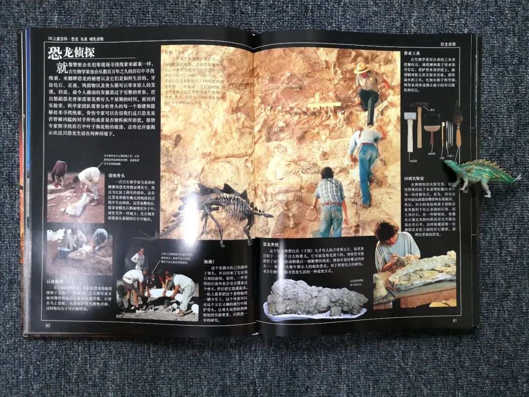 适合孩子看的恐龙科普书,适合5岁孩子看的恐龙科普书