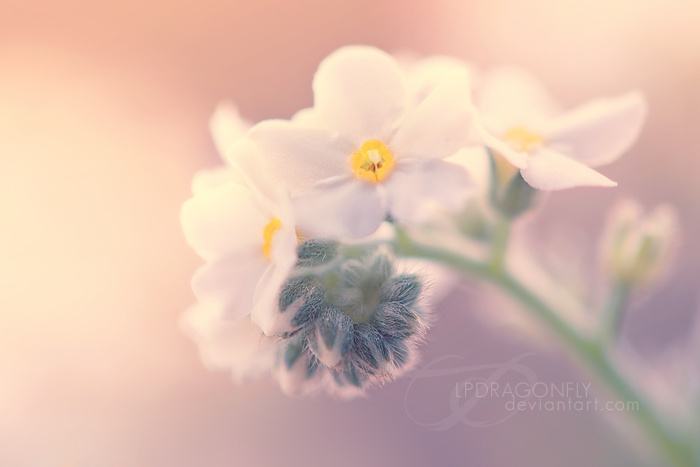 珍惜人生经典美文,情感美文让一段时光可以留住岁月