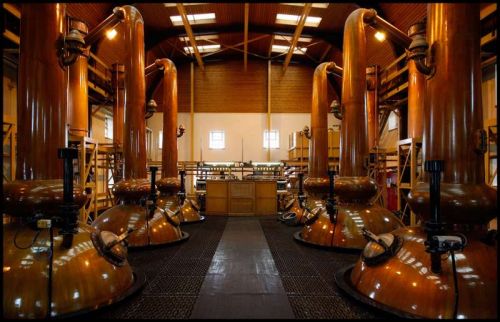 真正的檀香精油,檀香和檀香精油