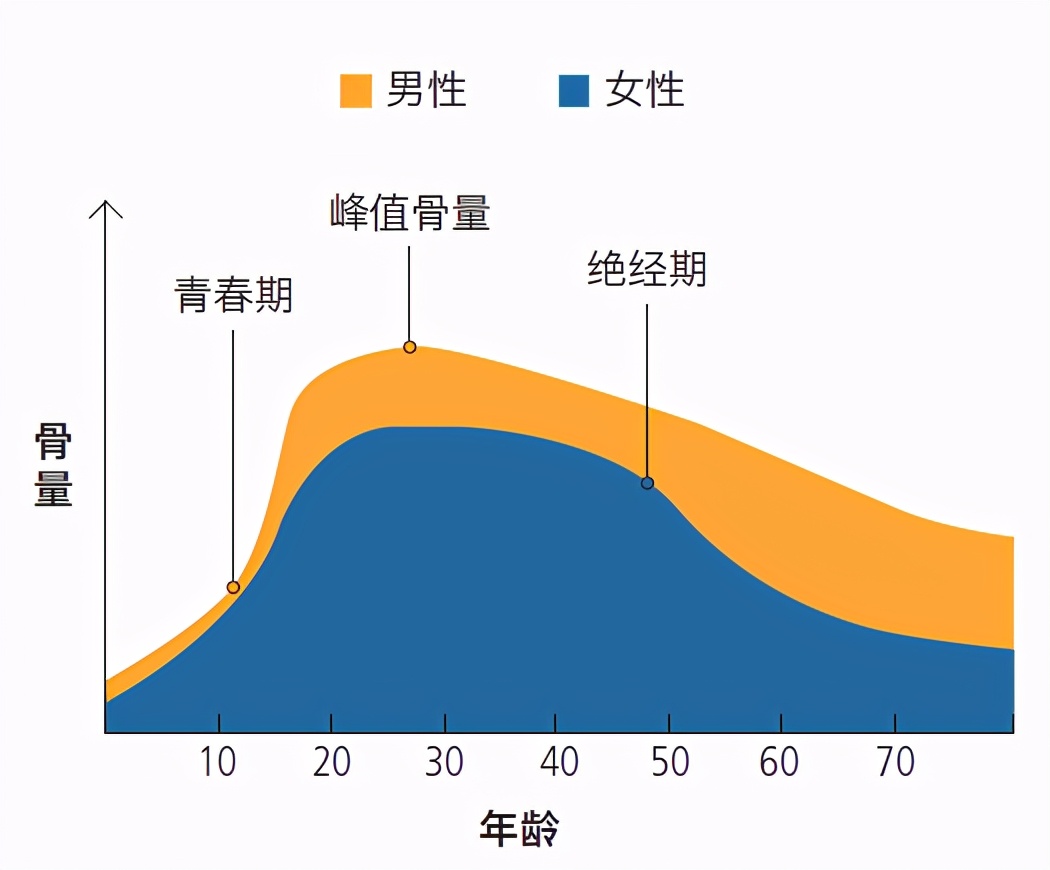 35岁左右补钙预防骨质疏松吗,35岁人补钙