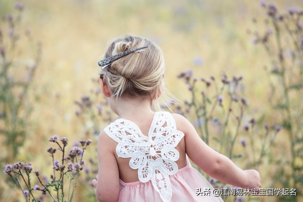 2019宋词中唯美的女孩名字推荐 (宋词里适合女孩名字大全)