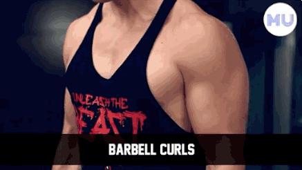 如何练出马东锡一样的手臂身材,马东锡的肌肉训练方法