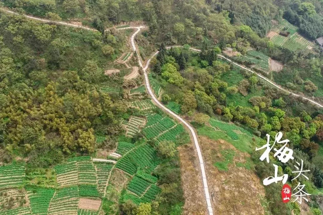 市区出发1h藏着一个“绿岛”？赛车、帆船…梅山原来如此洋气！