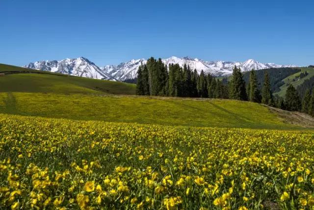 国家认证！*疆新**又一城市成为“中国天然氧吧”，大自然“空调房”就在……