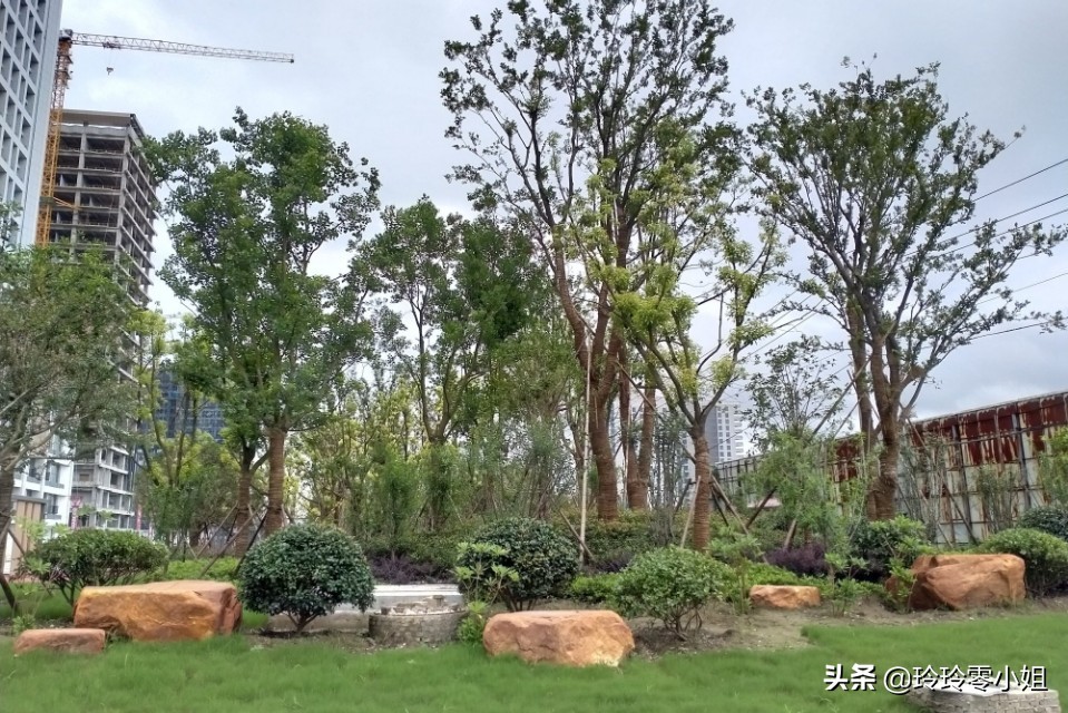 泰兴金融中心怎么样,泰兴金融中心最新进度