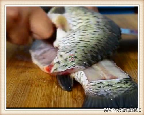 正宗酸菜鱼详细教程,如何能把酸菜鱼做得鲜嫩爽滑