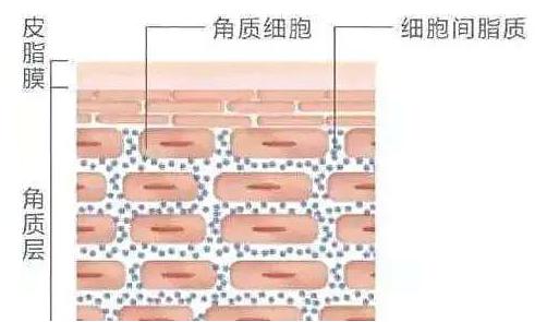 脸容易暗沉用什么粉底,皮肤暗沉不想化妆怎么办