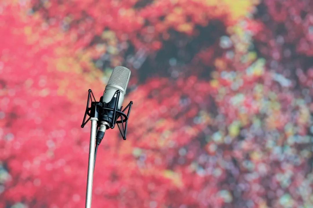 鐧惧勾椋庡崕灞辨渤渚濇棫,鐧惧勾椋庡崕灞卞窛閿︾唬