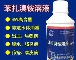 鲢鳙出血病防治方法,花白鲢败血症用什么药