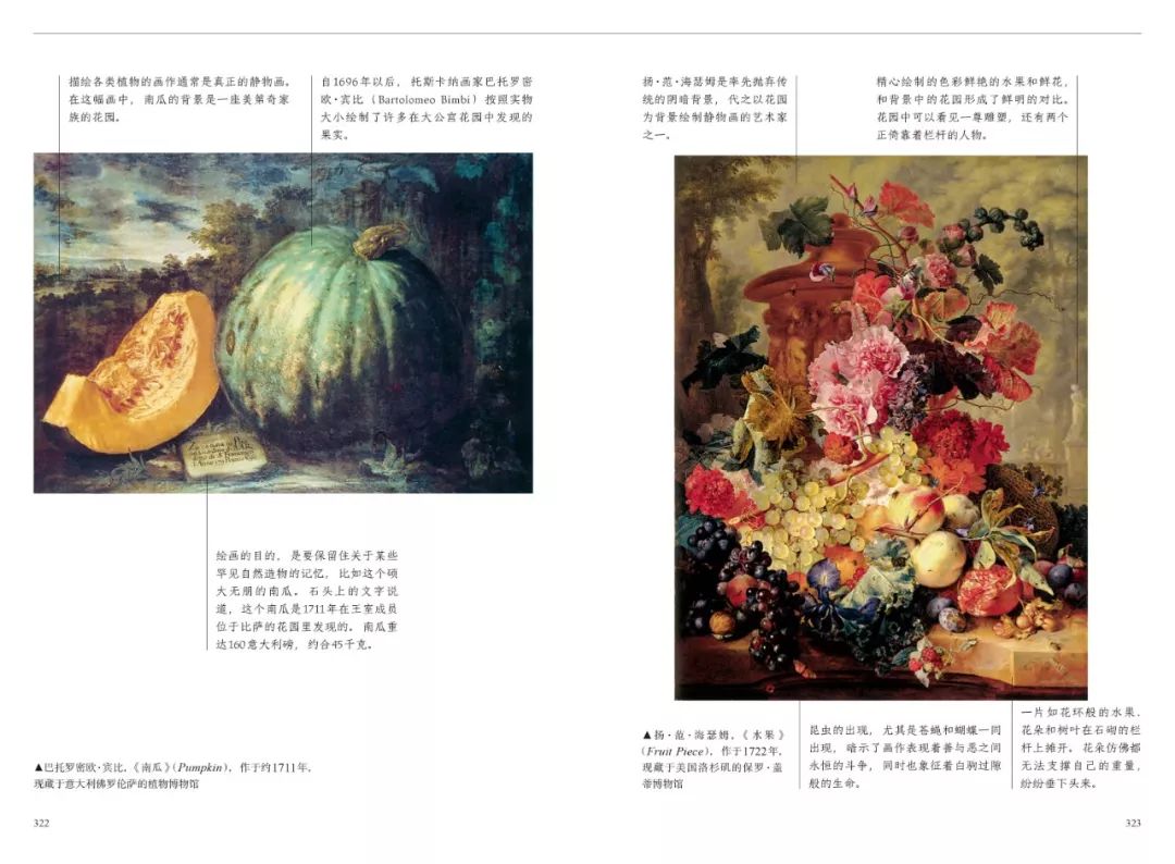 红衣主教来源,红衣主教月季分布区域