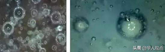 千万别上当是骗局吗,如何判断是不是古陶瓷