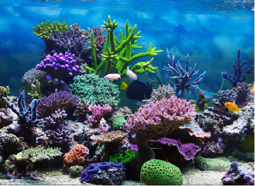 创意儿童画珊瑚画过程,油画棒创意儿童画简单